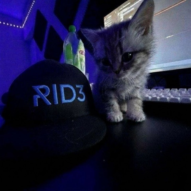 rid3 azure cat-cap